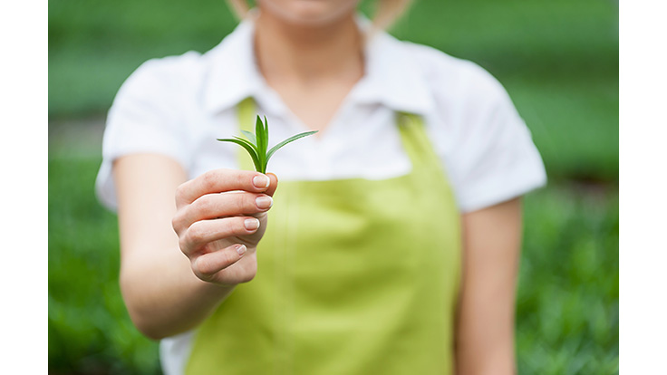 The green industry has generated nearly $200 billion annually in U.S