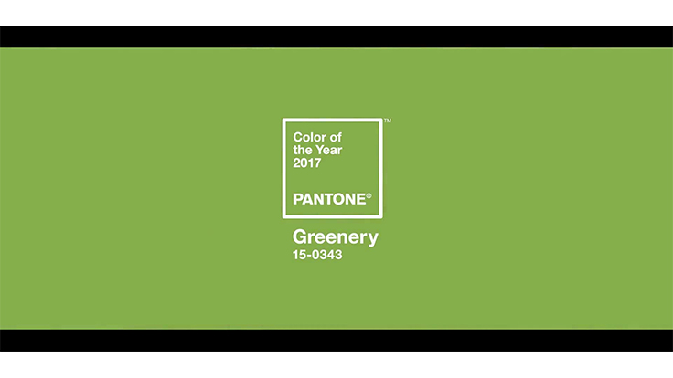 Pantone announces 2017 Color of the Year, and garden centers and growers will love it