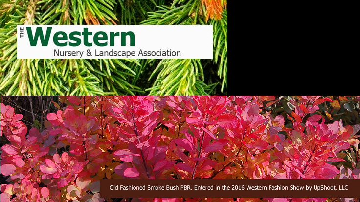 New dates, website, newsletters announced for 2016 Western