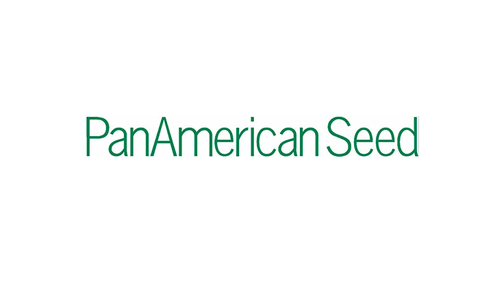 PanAmerican Seed re-launches impatiens line