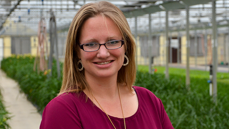 Q&A: Laura Robles on growing plants in freezing weather