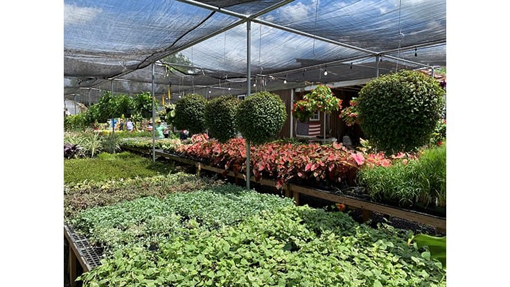 Many garden centers, greenhouses and nurseries deemed 'essential' businesses