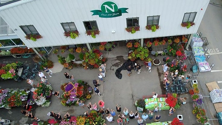Nunan Florist & Greenhouses giving away free bouquets 