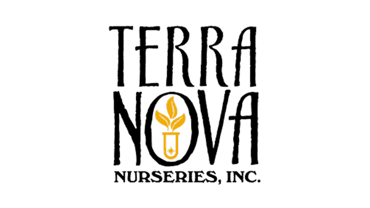 Terra Nova Nurseries shares new varieties, digital content for spring-summer trials display season