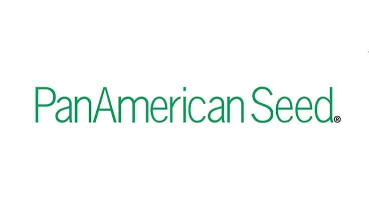 PanAmerican Seed announces changes to pricing structure