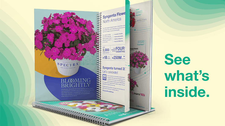 Syngenta releases 2021-2022 annuals catalog