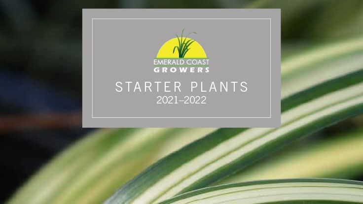 Emerald Coast Growers releases new resource guide featuring Fresh Picks section highlighting new varieties