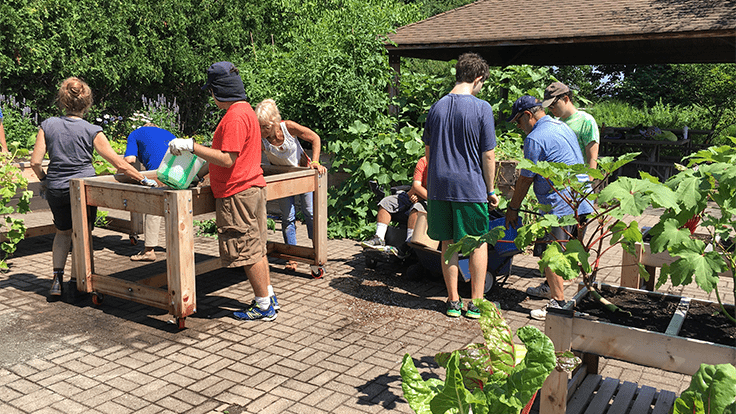 NGB opens voting for 2021 Therapeutic Garden Grant
