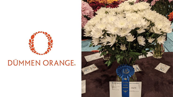 Dümmen Orange awarded 13 Outstanding Varieties ribbons 