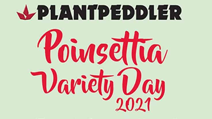 Plantpeddler announces Poinsettia Variety Day