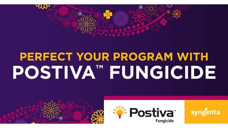 Syngenta introduces new Postiva fungicide