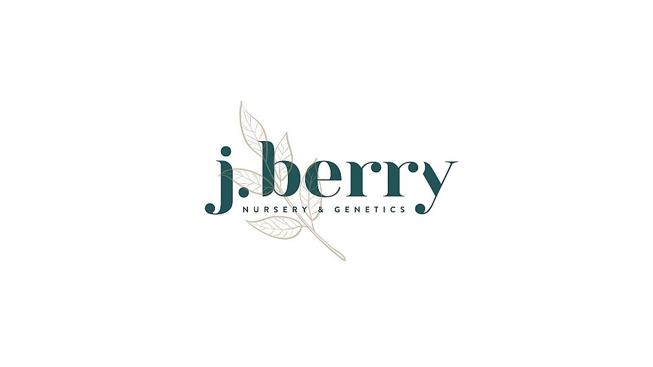 J. Berry announces direct online ordering