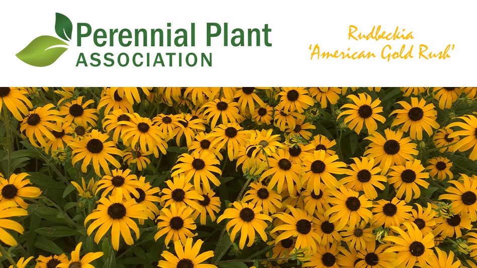 /2023-perennial-plant-of-the-year.aspx