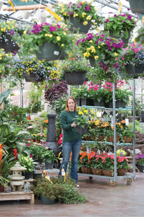 Lean on retailers and landscapers to share with you what varieties are catching the attention of end consumers, as they have direct interaction with them.