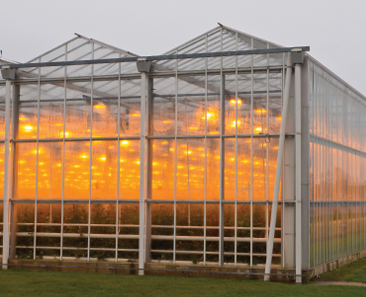 Q&A: Lighting and propagation tips with Stephanie Burnett - Greenhouse ...