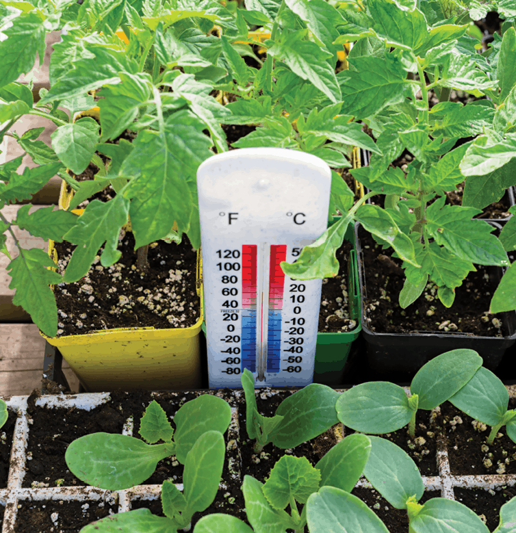 5 tips for temperature control in your growing environment - Greenhouse  Management