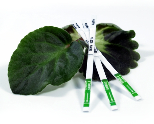 Rapid test strip for Hosta virus X Greenhouse Management