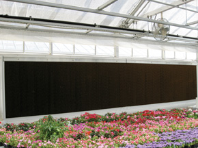 AquaCool evaporative cooling system Greenhouse Management