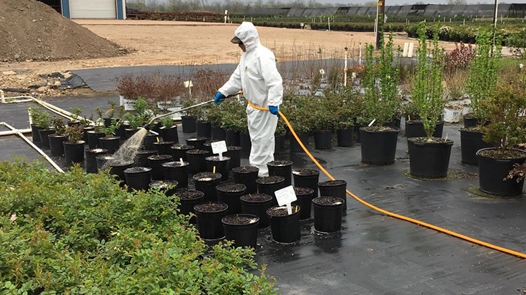 Creekside Nursery’s spray program is based on a preventative strategy.
