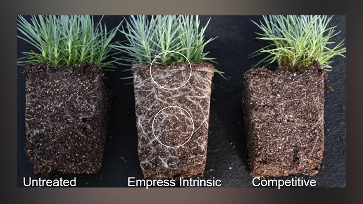 Photo courtesy of BASF