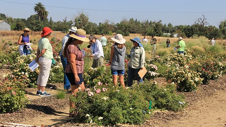 Participants at a ;previous UC Landscape Plant Irrigation Trials Open House