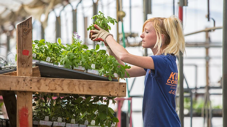 Woman picking up a potted plant