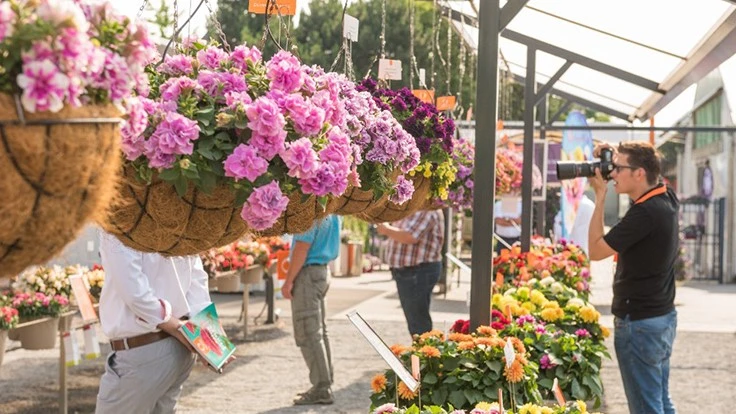 Photo courtesy of Dümmen Orange