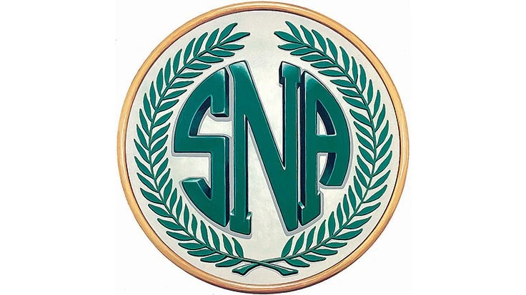 Logo with big S, N and A letters.