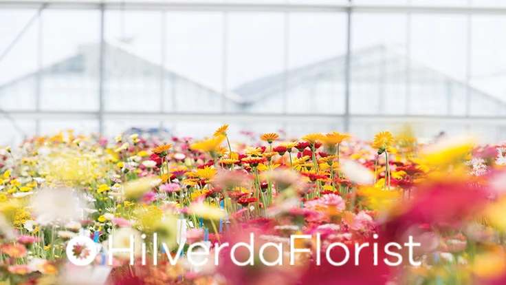 Photo courtesy of HilverdaFlorist