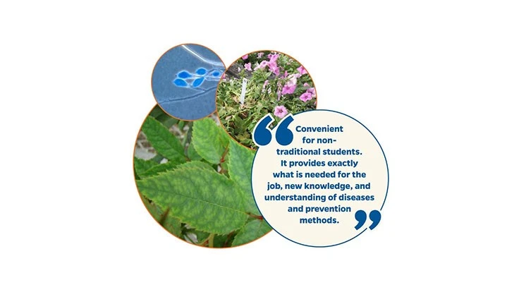 Photo courtesy of the University of Florida