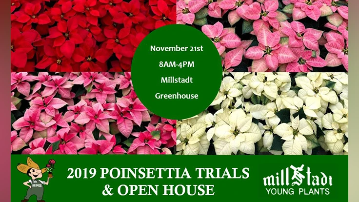 Photo courtesy of Millstadt Young Plants