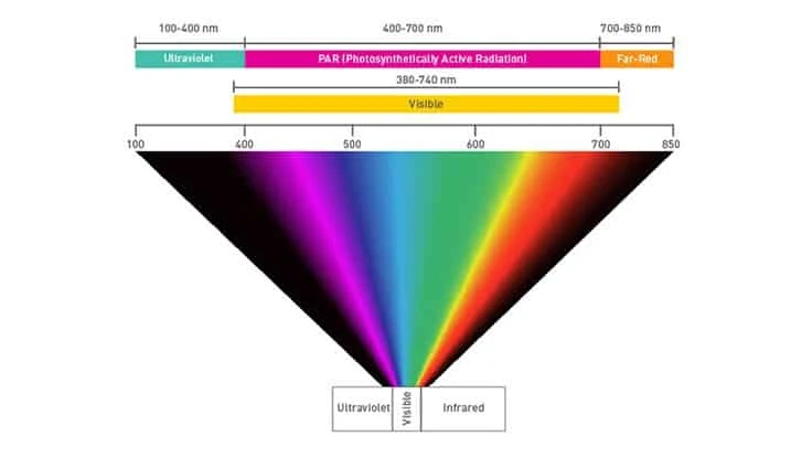 This grow light spectrum chart illustrates how PAR coincides with visible light spectrum.