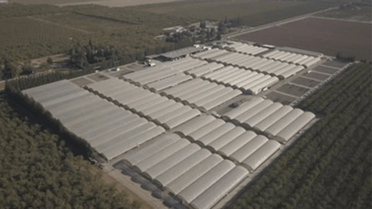 An aerial photo of Fredriks Nursery, just purchased by Dave Wilson Nursery