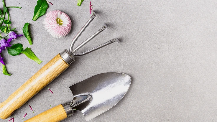 VICUSCHKA | Adobe Stock