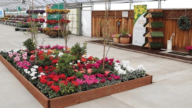Plants on display at a stop at the 2019 California Spring Trials