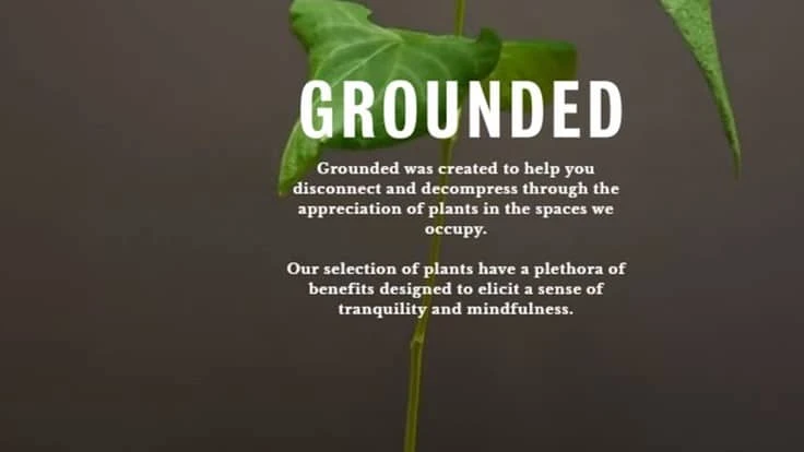 Large text that reads: "Grounded" over a leaf in the background