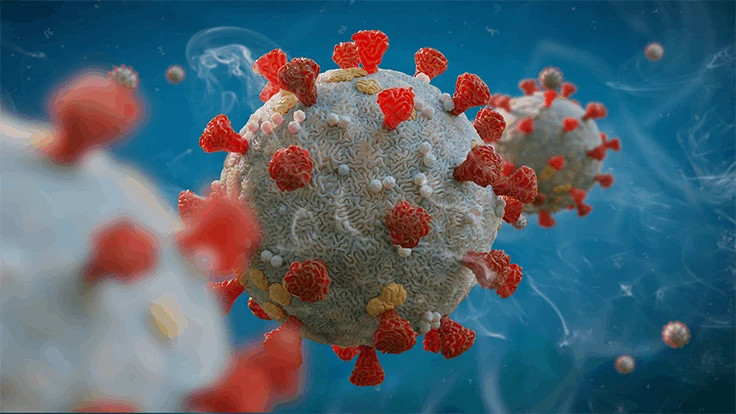 dottedyeti | Adobe Stock