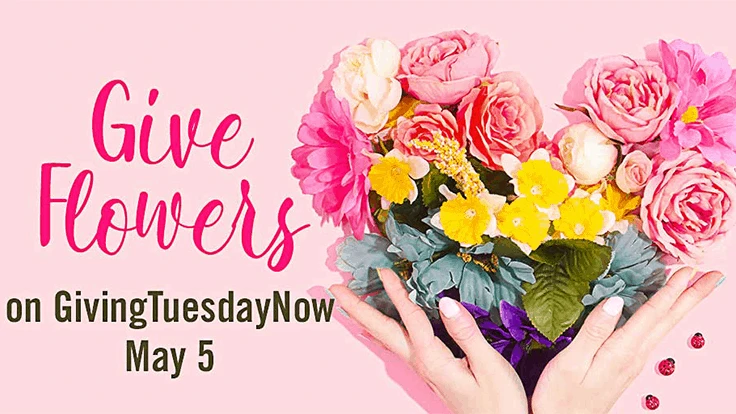 Here's an example of a downloadable photo, created by the AFE, to spread the #GivingTuesdayNow word on social media. 