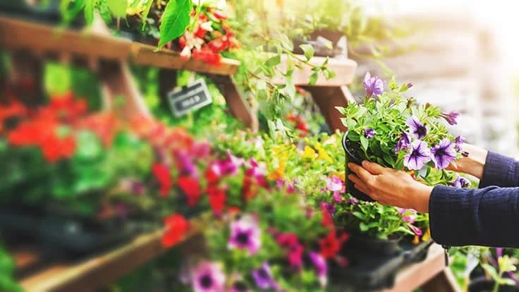 Photo: ronstik, Adobe Stock