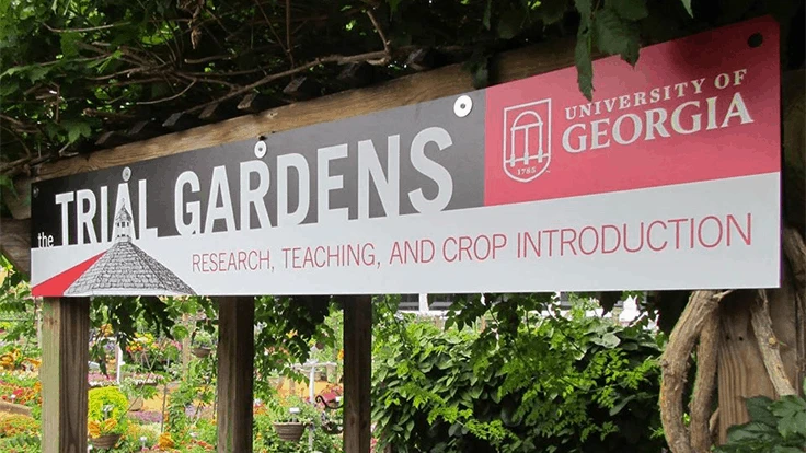 Photo courtesy of The Trial Gardens @ UGA Facebook page.  