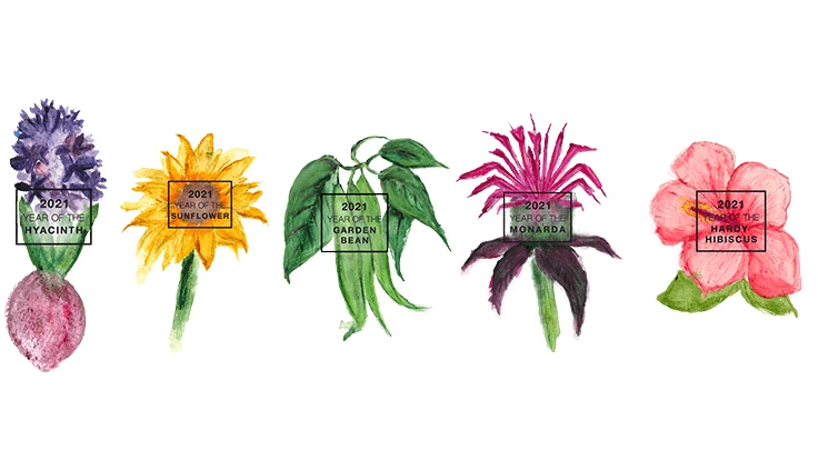 National Garden Bureau