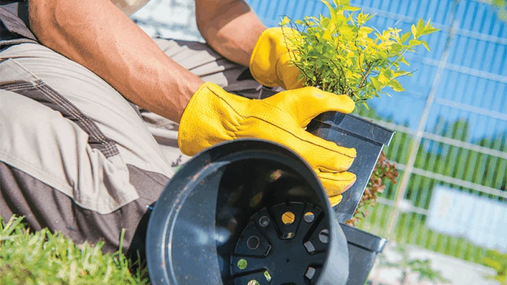 Tomasz Zajda | Adobe Stock