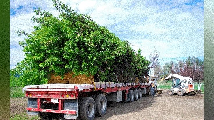 Source the plant materials you need at CNGA's Buyers Expo