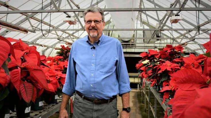 Brent Pemberton, Ph.D., stands among poinsettias undergoing testing to determine the impact of higher temperatures on plants in greenhouse production settings.