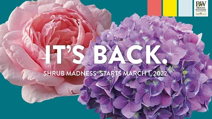 Proven Winners ColorChoice 