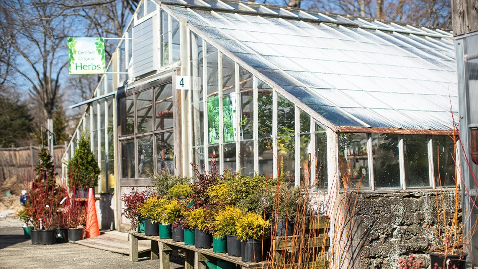 Photo by Julie Bidwell