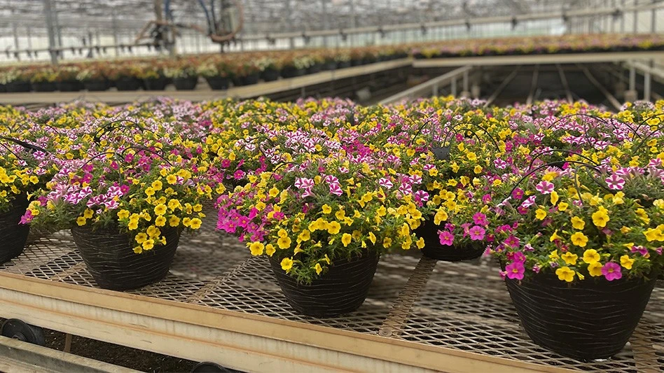 Photo by Chris Manning