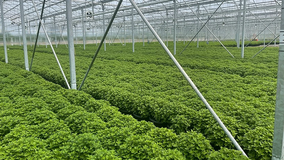 Photo by Chris Manning