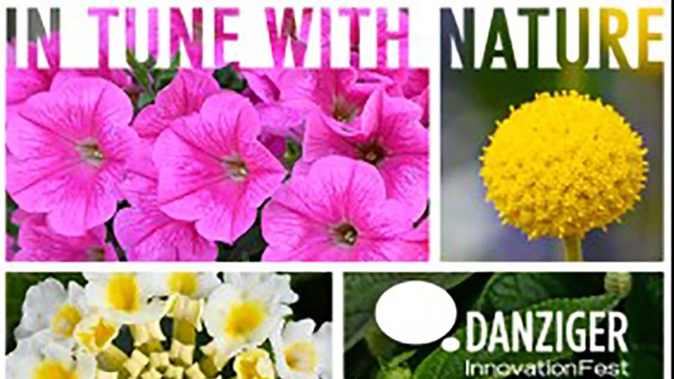 Image courtesy of Danziger