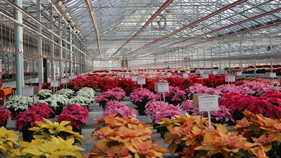 Photo courtesy of Plantpeddler